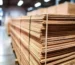 16mm Shuttering Plywood Manufacturers In Mumbai